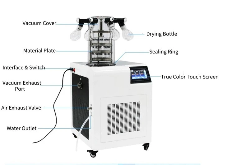 Mini Freeze Dry Machine