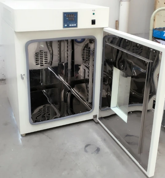 Inner of Electric Blast Drying Oven Inner of Electric Blast Drying Oven